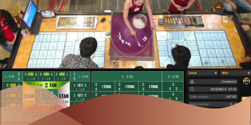 Fortune Fan Tan TK88 - Tham Gia Cá Cược Ăn Tiền Thưởng Khủng 2 Cách chơi cơ bản của game fortune fan tan tại nhà cái TK88